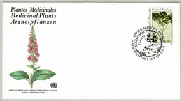 UNO New York 1990, FDC FDC Medizinal Pflanzen / Plantes Médicinales / Medicinal Plants, Ginseng / Panax Quinquefolium - Medicinal Plants