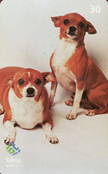 Phone Card Manufactured By Telesc - Brasil Telecom In The Early 1990s - Homage To The Dog Breed Pinscher - One Of Th - Dogs