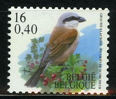 België R94 - Vogels - Oiseaux - Buzin (2931) - 16F - Grauwe Klauwier - Pie-grièche écorcheur - Rollen