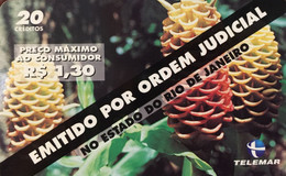 Rare Phone Card Limited Edition Manufactured By Telemar In 2000 - Card Specially By Order Of The Judiciary Of Rio De Jan - Fleurs