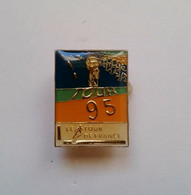 Delcampe - Pin's Tour De France 1995 - Cyclisme