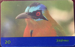 Phone Card Manufactured By Telefônica In 1999 - Aves Do Brasil - Species Juruva - Photographed In The Pantanal - Mat - Águilas & Aves De Presa