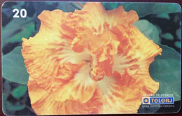 Phone Card Manufactured By Telemar In 1998 - Species Harvest Moom - Flores