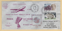 1er Vol - Paris Le Caire - 1975 - France Egypte - 1960-.... Briefe & Dokumente