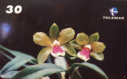 Phone Card Manufactured By Telemar In 2001 - Species Cattleya Bicolor - Bloemen