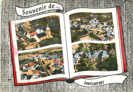 CPSM Souvenir De Châteaufort-Multivues     L1266 - Sonstige Gemeinden