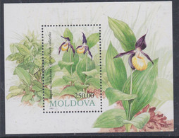 Moldavie  BF N° 4  XX  Flore : Orchidée Sauvage, Le Bloc Sans Charnière, TB - Moldova