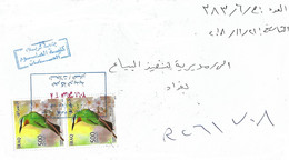 Iraq 2018 Baghdad Blue-cheeked Bee-eater Merops Persicus Registered Domestic Cover - Spechten En Klimvogels