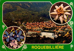 ROQUEBILLIERE  ( ALPES MARITIMES )    MULTI-VUES - Roquebilliere