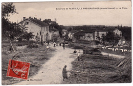 Environs De Feytiat, Le Mas-Gauthier, La Place - Other Municipalities