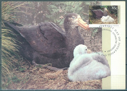 AAT - 14.5.1992 - CM/MK FDC - GIANT PETREL - Yv 92 - Lot 24874 - Maximum Cards