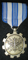 MEDAILLE USA - AIR FORCE MRITORIOUS ACHIEVEMENT MEDAL - Estados Unidos