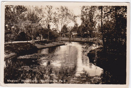 Meppel, Waterpartij-Wilhelmina Park - Meppel