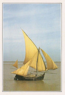 Bangladesh Bâteau à Voiles Sur Le Delta Du Gange - Bangladesh