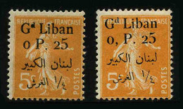 GRAND LIBAN - COLONIE FRANCAISE - YT 23 * - TYPE I ET TYPE II - 2 TIMBRES NEUFS * - Unused Stamps