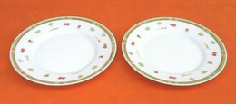 Duo Assiettes  Arcopal France  Modèle " Potager "  Sophie Montfort - Plates