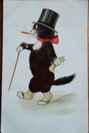 Cat With Hat , Bow And Stick - Gatos