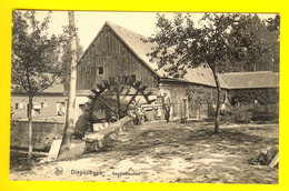 SAPITELMOLEN = WATERMOLEN Te DIEPENBEEK * Moulin à Eau Molen Mill Muhle Molino  2079 - Diepenbeek