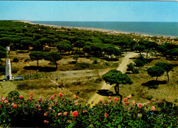 HUELVA (COSTA DE LA LUZ) - Vista Parcial De Mazagón - Huelva