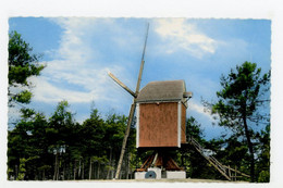 E135 - Kasterlee - Molen - Moulin - Mill - Mühle - - Kasterlee