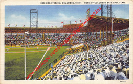 Columbus - Red Bird Stadium Night View - Baseball - Ohio United States - Columbus
