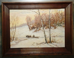 Promenade En Traîneau à Cheval Dans Un Paysage Hivernal/ Horse-drawn Sleigh Ride In A Winter Landscape - Olii