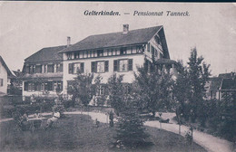 Gelterkinden BL, Pensionnat Tanneck (987) - Gelterkinden