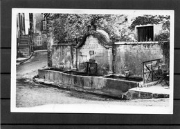 La Garde-Freinet - Fontaine-ville - La Garde Freinet