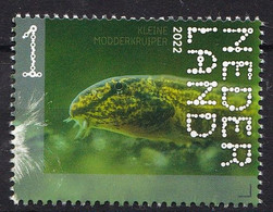 Nederland - Beleef De Natuur - 21 Februari 2022 - Nieuwkoopse Plassen - Modderkruiper - Cobitis Taenia - MNH - Unused Stamps
