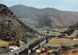 64 - Bidarray - La Vallée De La Nive - Vue Aérienne - Bidarray