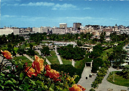 Kuwait, Kuwait City مدينة الكويت, Municipality Gardens (1975) Postcard - Koeweit