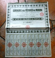 ACTION - Compagnie Des Pétroles De MORENI 1925 - Coupons Complets - Pétrole