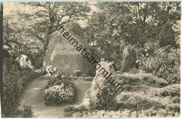 Kloster - Grab Gerhart Hauptmann - VEB Bild Und Heimat Reichenbach 50er Jahre - Hiddensee