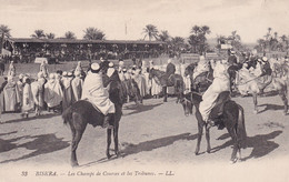 ALGERIE(BISKRA) CHAMP DE COURSES(HIPPODROME) - Biskra