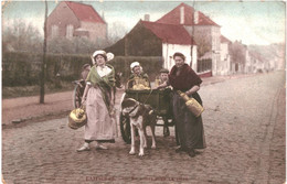 CPA Carte Postale Belgique- La Laitière Flamande En Route Pour La Ville  1907 VM45474ok - Attelages