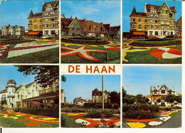 CP De DE HAAN  ( Coq S/mer ) - De Haan