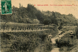 Bar Sur Aube * Le Petit Chemin Montant à Ste Germaine * Vigne Vignoble - Bar-sur-Aube