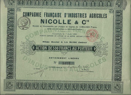 COMPAGNIE FRANCAISE D'INDUSTRIES AGRICOLES NICOLLE ET CIE - DIVISE EN 2500 ACTIONS DE 500 FRS-ANNEE 1920 - Agricultura