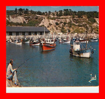 Erquy , Le Port   ( Scan Recto Et Verso ) - Erquy