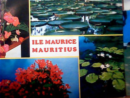 ILE MAJURICE MAURITIUS  FLEURS STAMP TIMBRE BOLLO  2 RUPES   VB1980 IN5571 - Mauritius
