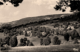 Ambert * Environs * Vers Les Ballays - Ambert