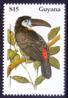 Guyana 1990 MNH, Birds, Channel-billed Toucan - Kuckucke & Turakos