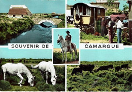 13-SAINTES MARIES DE LA MER-MULTIVUES-GITANS-CHEVAUX-TAUREAUX-SOUVENIR DE CAMARGUE - Saintes Maries De La Mer