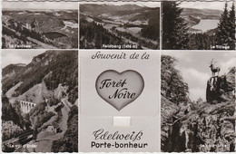 Souvenir De La Foret Noire Edelweiss Porte Bonheur - Feldberg