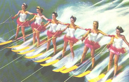 USA:Florida, Water Skiers - Waterski