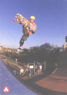 Skateboard Rider Andy MacDonald - Skateboard