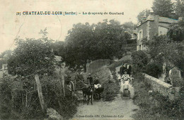 Chateau Du Loir * La Descente De Goulard * Attelage âne - Chateau Du Loir