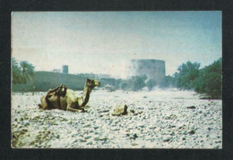 OMAN Old Fort Nizwa Oman Picture Postcard - Oman
