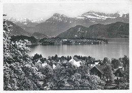 Vordermeggen - Mit Den Alpen           Ca. 1950 - Meggen