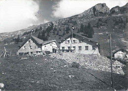 Isenthal - Bywald Alp Auf Dem Weg Zum Urirothstock        Ca. 1960 - Isenthal